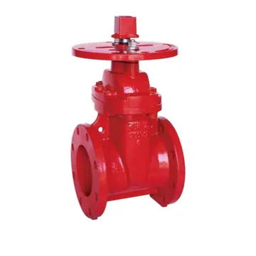 Typical nrs gate valve