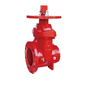 Typical nrs gate valve