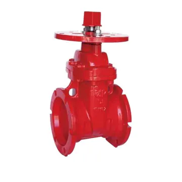 Typical nrs gate valve