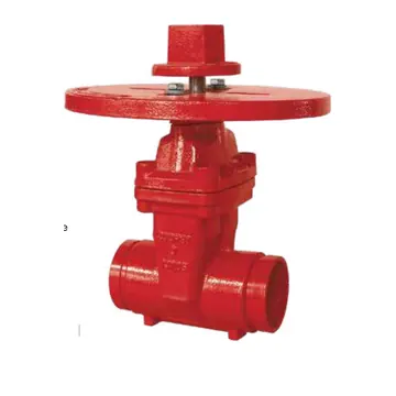 Typical nrs gate valve