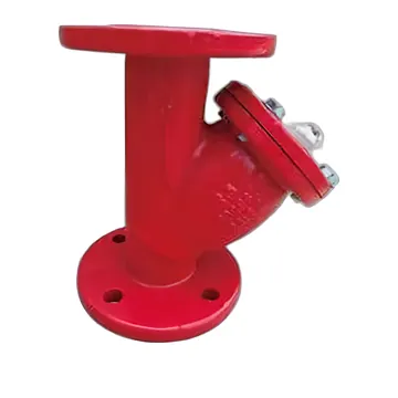 Typical y-strainer