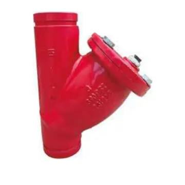 Typical y-strainer