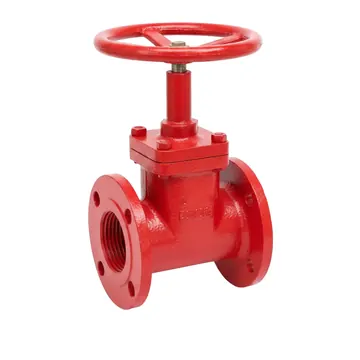 Typical flanged resilient nrs gate valve
