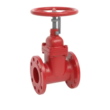 Typical flanged resilient nrs gate valve