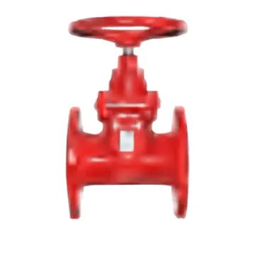 Typical flanged resilient nrs gate valve