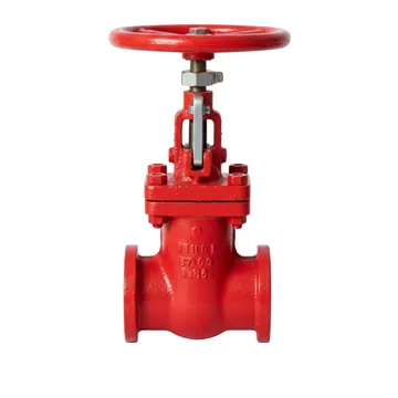 Typical grooved resilient nrs gate valve