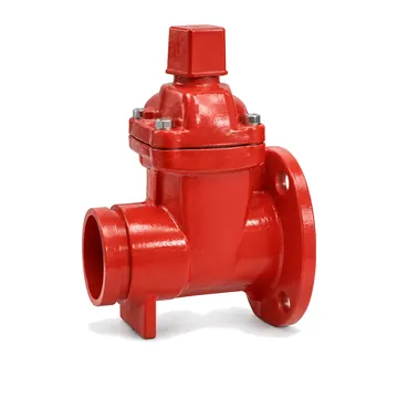 Typical flanged x grooved resilient nrs gate valve