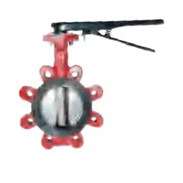 Typical lugged wafer butterfly valve