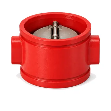 Typical double door grooved check valve